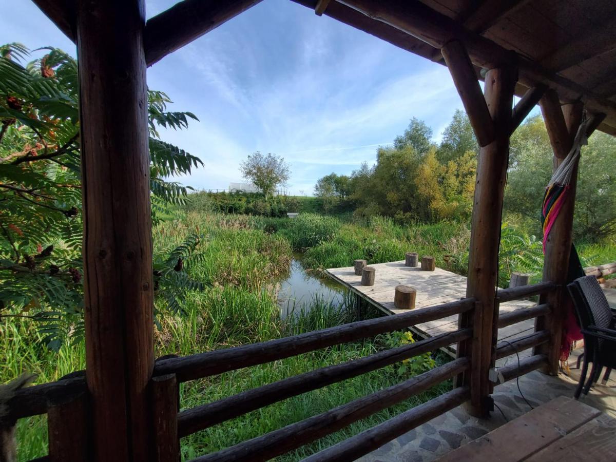 Casa Cu Fantana Villa Borlesti Dış mekan fotoğraf